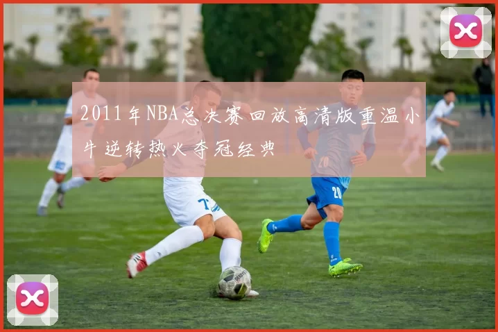 2011年NBA总决赛回放高清版重温小牛逆转热火夺冠经典