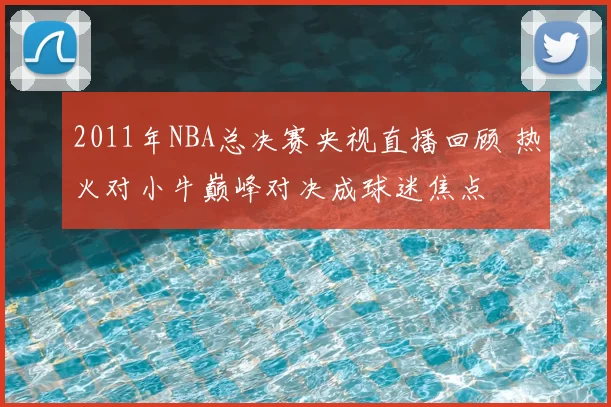 2011年NBA总决赛央视直播回顾 热火对小牛巅峰对决成球迷焦点