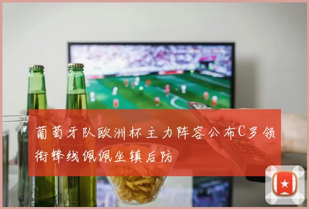 葡萄牙队欧洲杯主力阵容公布C罗领衔锋线佩佩坐镇后防