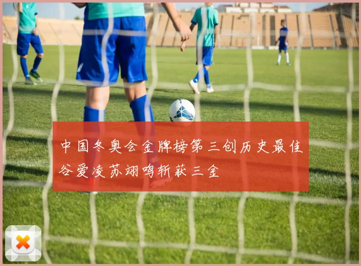 中国冬奥会金牌榜第三创历史最佳谷爱凌苏翊鸣斩获三金