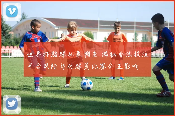 世界杯赌球乱象调查 揭秘非法投注平台风险与对球员比赛公正影响